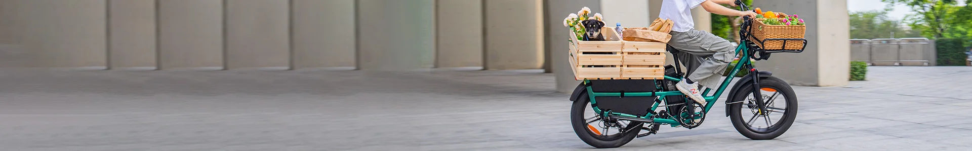 Una donna va a fare shopping sulla bicicletta elettrica Fiido T2 cargo