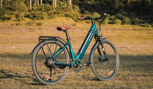 Una bicicletta elettrica Fiido C11 era temporaneamente parcheggiata a bordo strada