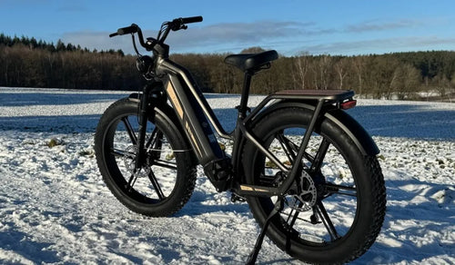 Una bici elettrica Fiido Titan è temporaneamente parcheggiata nella neve