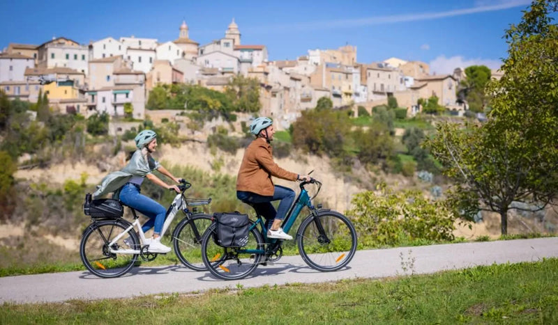 Un uomo e una donna pedalano in salita su biciclette elettriche Fiido C11.