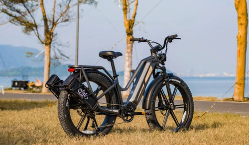 Una bicicletta elettrica Fiido Titan è temporaneamente parcheggiata vicino al lago.