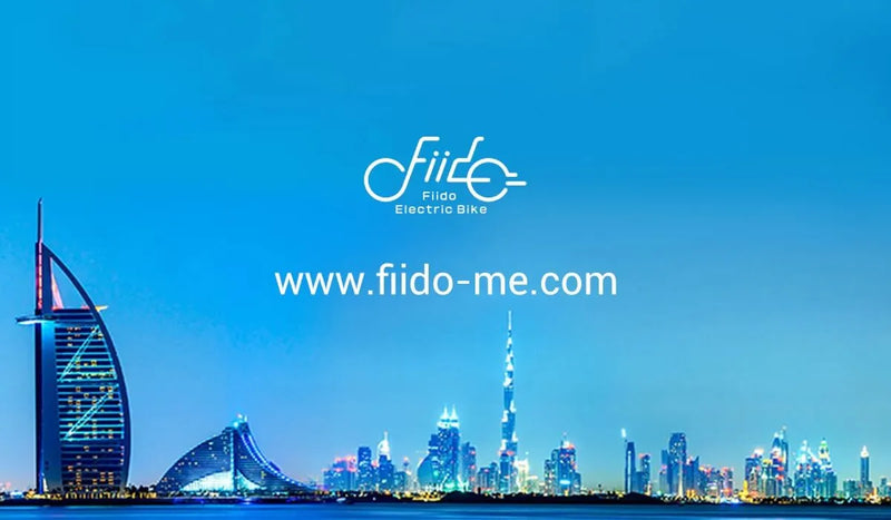 Il sito web ufficiale di Fiido UAE è stato lanciato ufficialmente