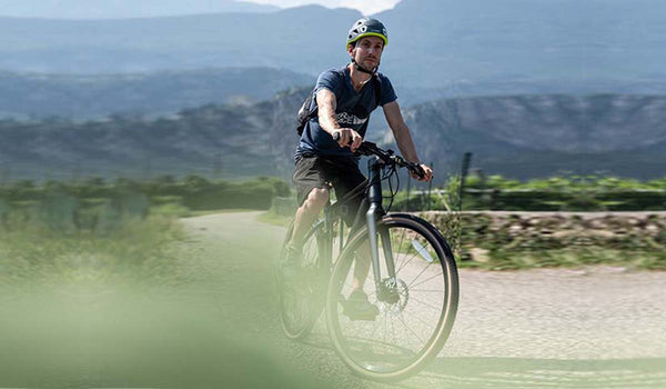 Esplorando la natura con la Fiido C22 bicicletta elettrica