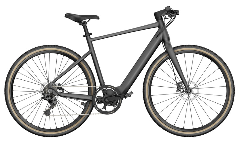 Bicicletta elettrica FIIDO C21