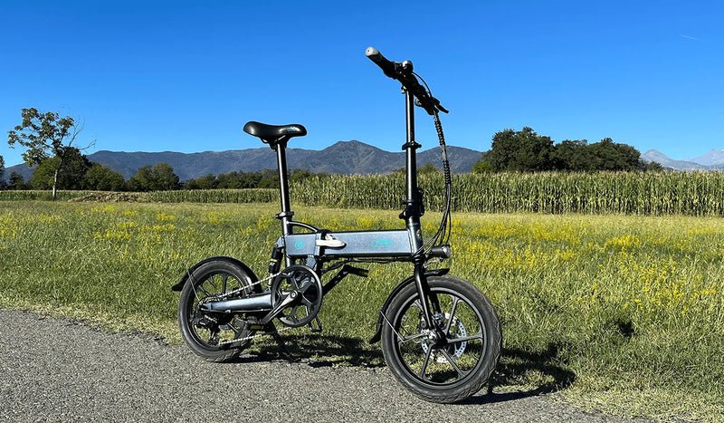 Bicicletta elettrica Fiido D2S parcheggiata accanto al prato