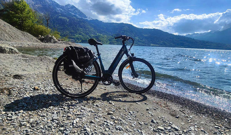 Bicicletta elettrica Fiido C11 parcheggiata accanto al lago