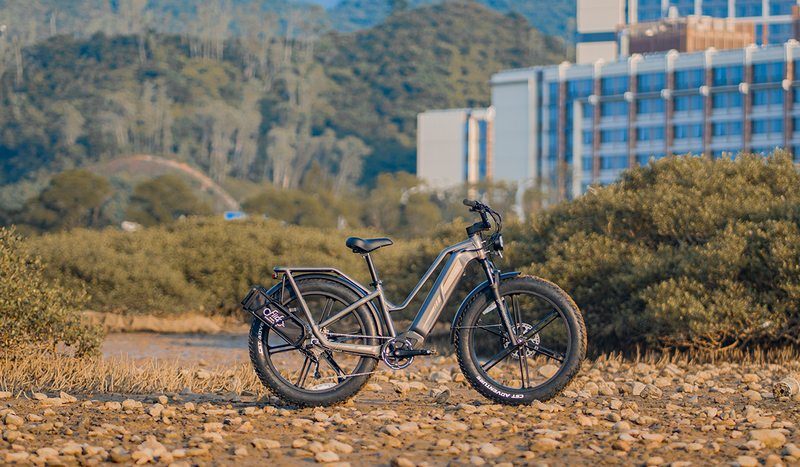 Bici elettrica Fiido Titan in riva al lago