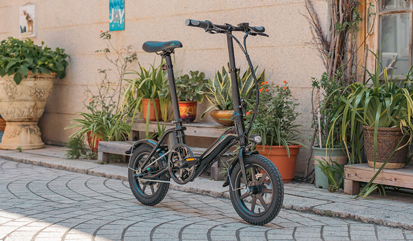 Quanto pesano le E-Bike