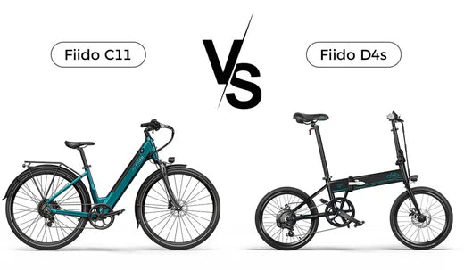 Bici elettrica FiidoC11 VS Fiido D4S