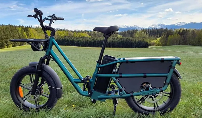 Fiido T2, bicicletta elettrica con un telaio robusto, ideale per l'uso all'aperto.