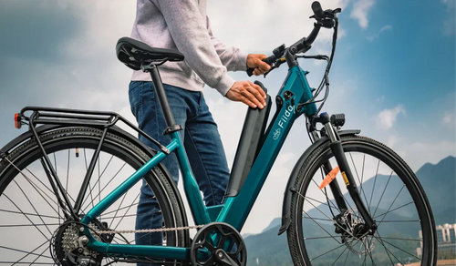 Guida alla garanzia della bici elettrica: periodi di copertura e procedura di richiesta