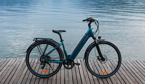 Una bicicletta elettrica leggera Fiido C11 Pro è stata parcheggiata temporaneamente vicino al lago.