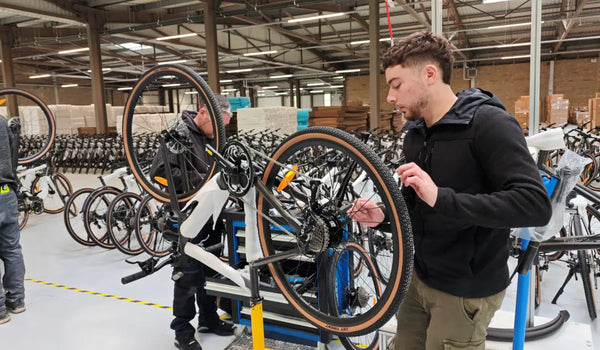 fiido-analisi-settore-ebike