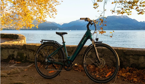Telaio e-bike: alluminio vs acciaio vs fibra di carbonio vs titanio