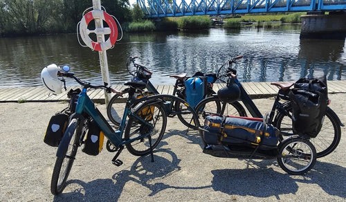 Diversi Fiido C11 e-bike parcheggiati temporaneamente sul bordo della strada