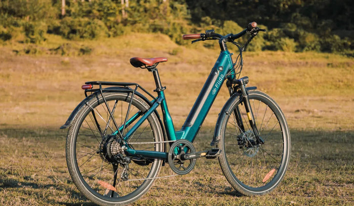 Una e-bike leggera Fiido C11 Pro è parcheggiata temporaneamente sul bordo della strada.