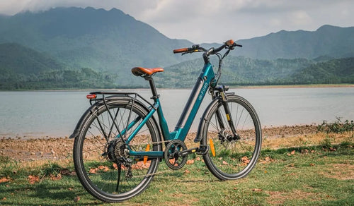 Una bici elettrica Fiido C11 Pro è parcheggiata temporaneamente sul lungolago.