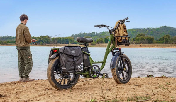 Una bicicletta elettrica Fiido T1 Pro è parcheggiata vicino al lago.