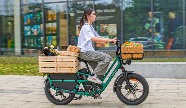 Fiido T2 Longtail cargo E-bike VS Aventon Abound E-bike