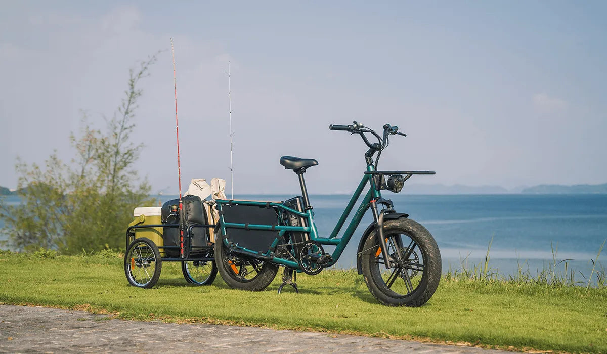 Guida ai telai delle biciclette elettriche Fiido