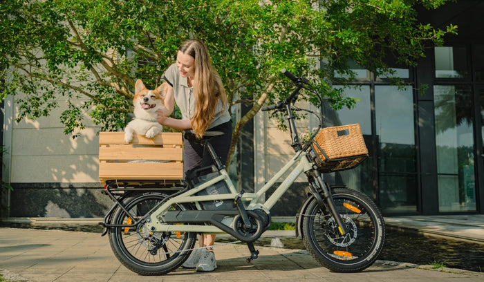 Bici cargo elettrica Fiido T3 che trasporta un animale domestico