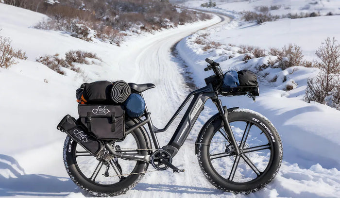 Una e-bike Fiido Titan con pneumatici larghi posizionata sulla neve.