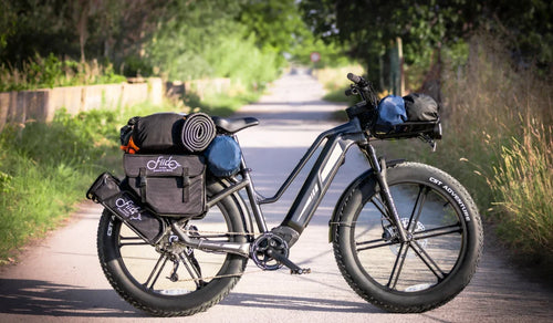 E-bike Fiido Titan con pneumatici fat per lunghe distanze