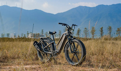 Una bici elettrica da caccia Fiido Titan è parcheggiata temporaneamente sul ciglio della strada.