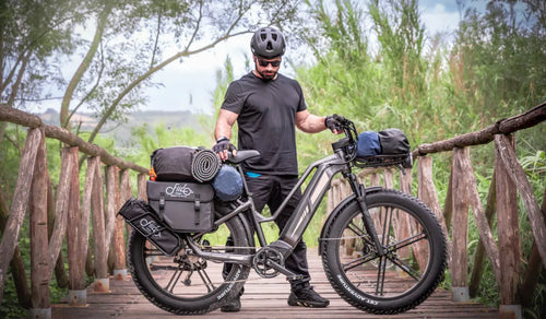 Batteria bici elettrica Fiido con celle agli ioni di litio 21700