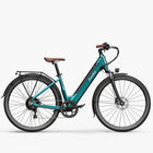 Fiido C11 Pro Bici Elettrica Urbana
