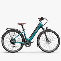 Fiido C11 Pro Bici Elettrica Urbana