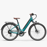 Fiido C11 Pro Bici Elettrica Urbana