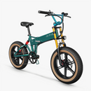 Fiido M1 Pro Bici Elettrica Ruote Grosse Fat Bike