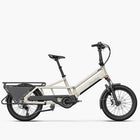 Fiido T3 Max Longtail Cargo Bici Elettrica Fat Bike