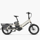 Fiido T3 Max Longtail Cargo Bici Elettrica Fat Bike