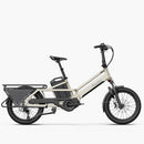 Fiido T3 Max Longtail Cargo Bici Elettrica Fat Bike