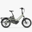 Fiido T3 E-Bike da Carico per la Famiglia Urbana