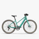 Fiido E-Gravel C22 Bicicletta Elettrica