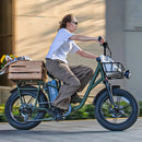 Fiido T1 Pro Cargo Bici Elettrica Fat Bike Utility