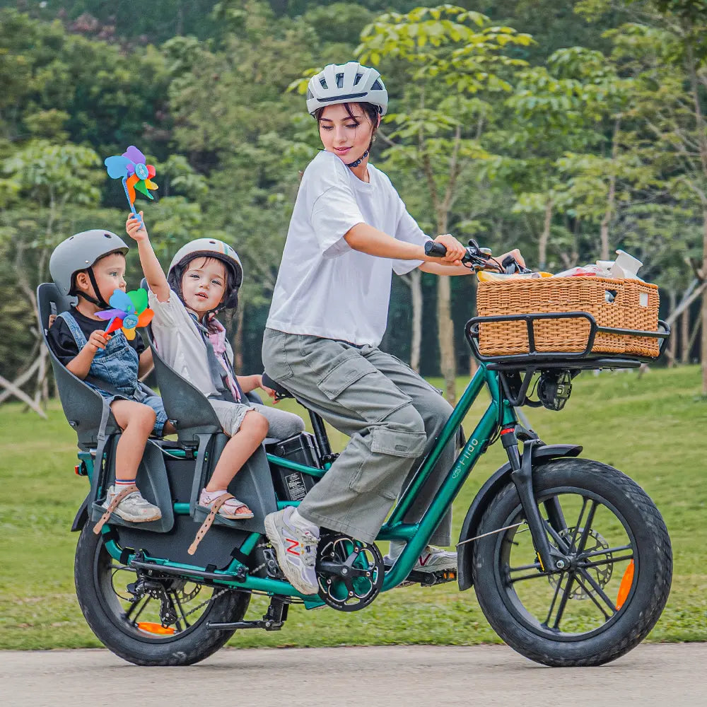 Fiido T2 Longtail Cargo Bici Elettrica Fat Bike