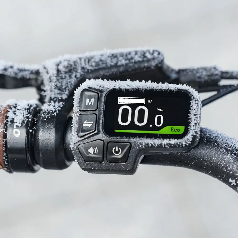 Fiido C11 Bici Elettrica Leggera Da Città