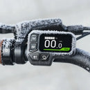 Fiido C11 Bici Elettrica Leggera Da Città