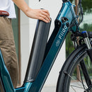 Fiido C11 Pro Bici Elettrica Urbana