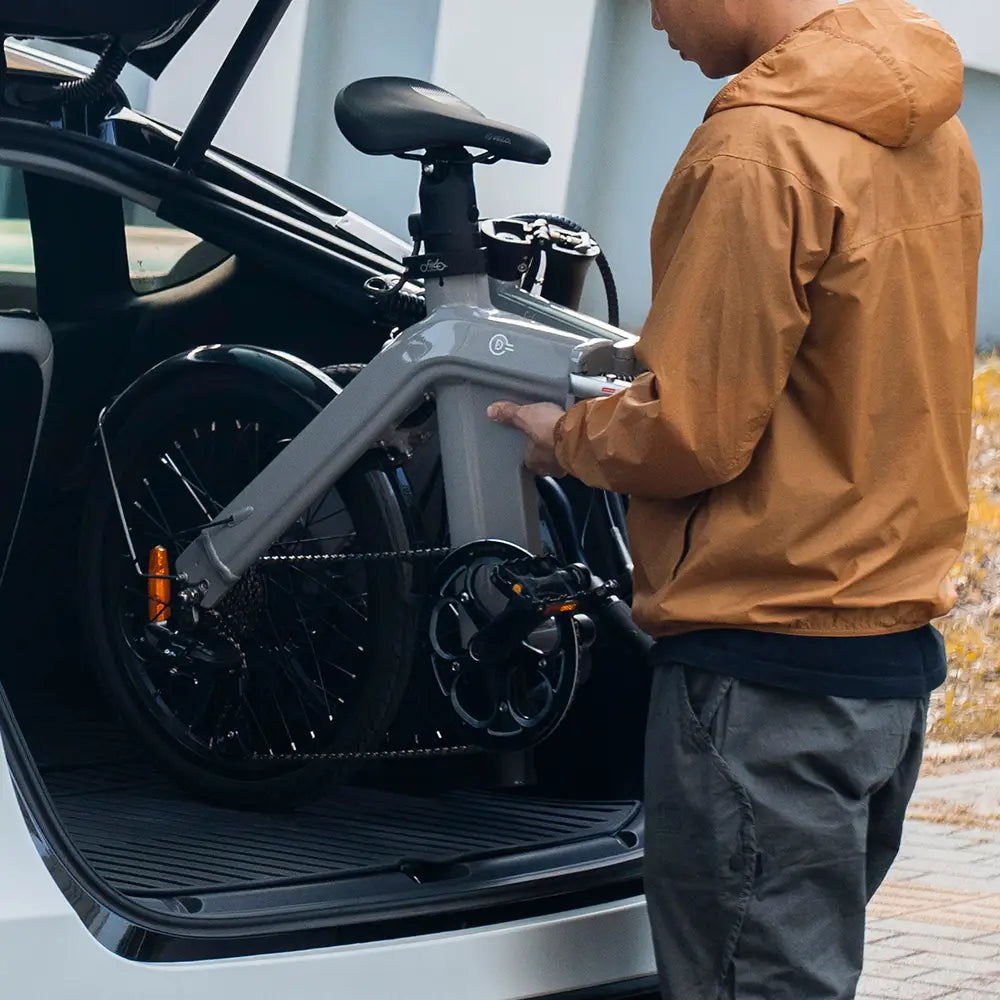 Fiido D11 Bici Elettrica Pieghevole Urbana