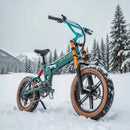 Fiido M1 Pro Bici Elettrica Ruote Grosse Fat Bike