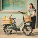 Fiido T3 E-Bike da Carico per la Famiglia Urbana