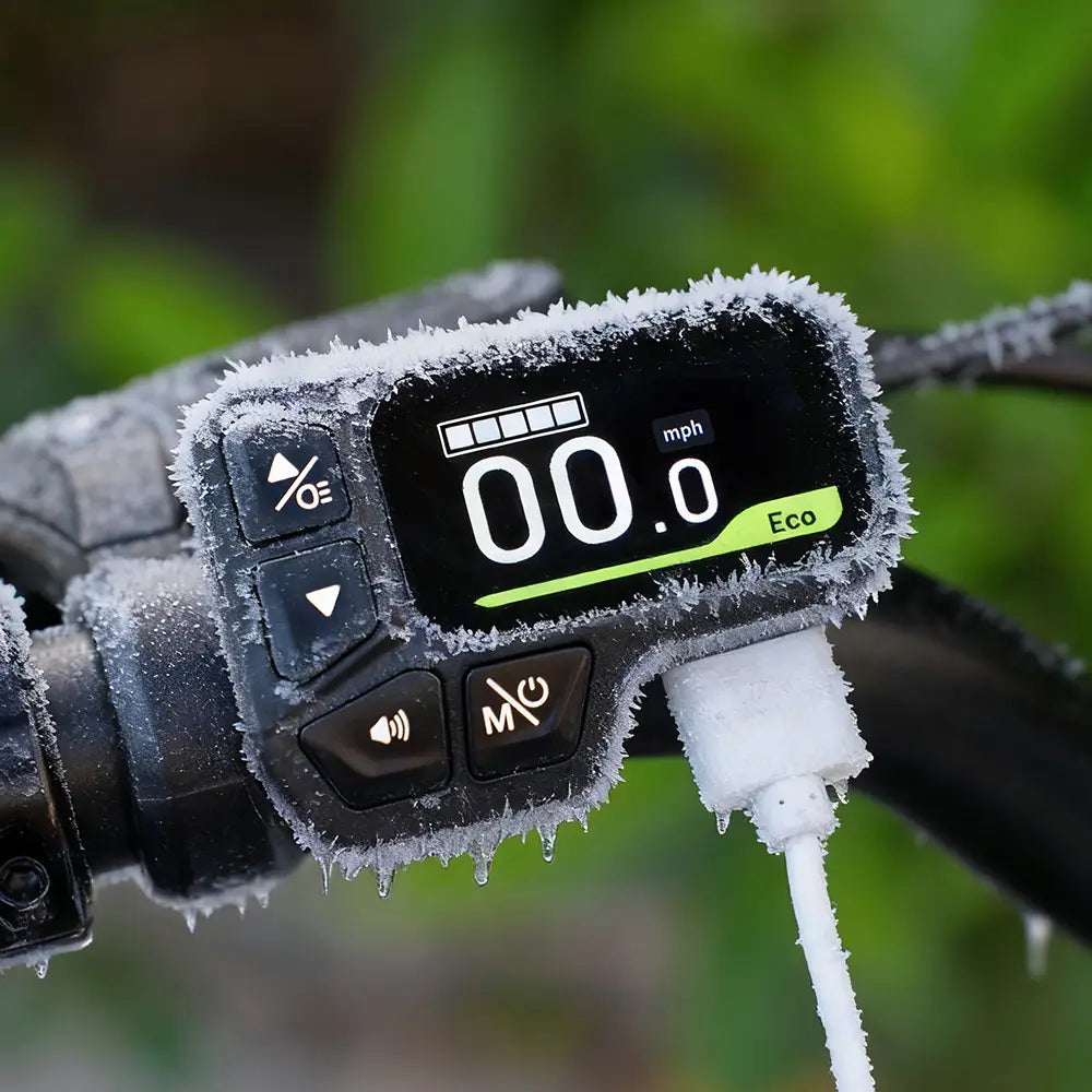 Fiido D11 Bici Elettrica Pieghevole Urbana