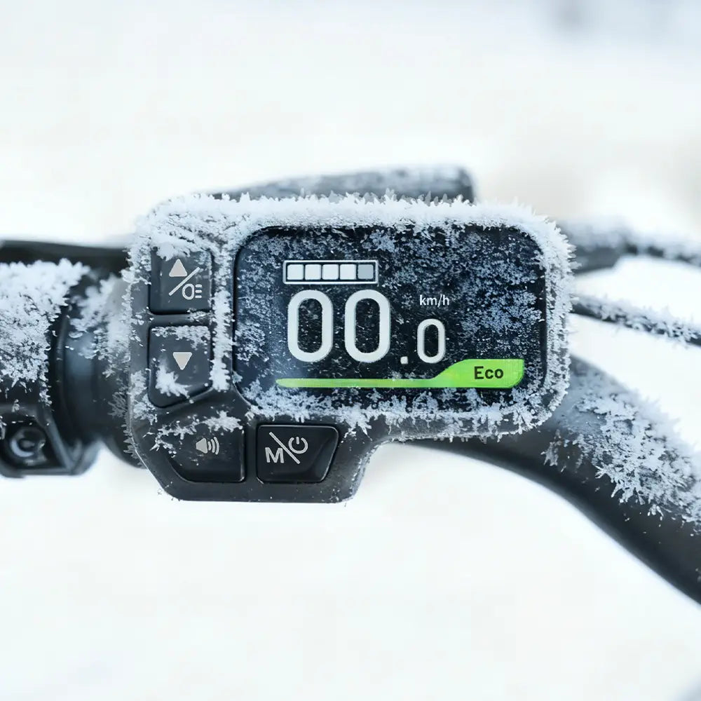 Fiido D11 Bici Elettrica Pieghevole Urbana