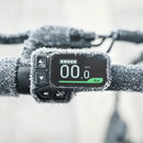 Fiido D3 Pro Mini Bici Elettrica Piccola Da Donna