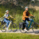 Fiido C11 Bici Elettrica Leggera Da Città